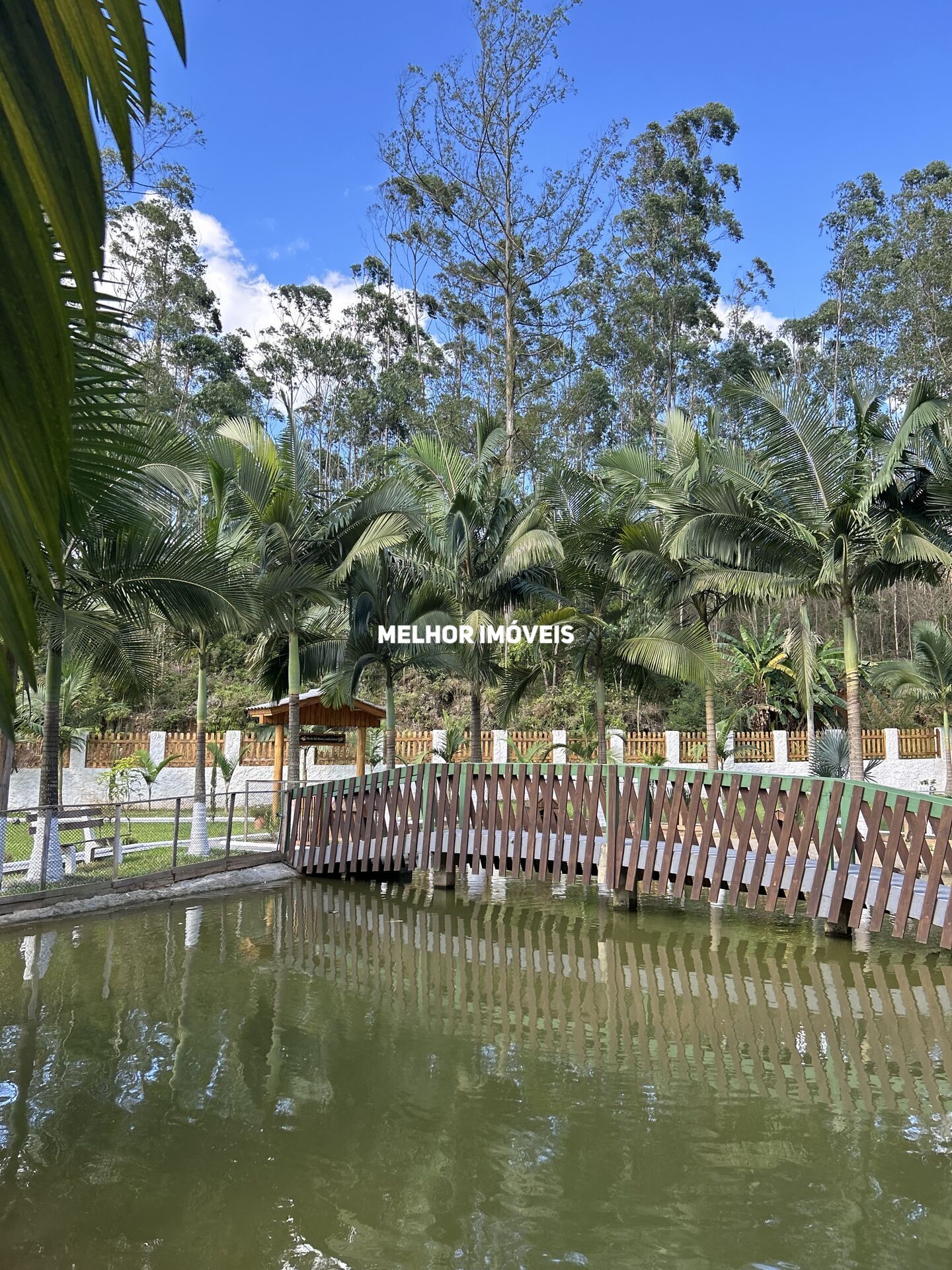 Chácara, 1 quarto, 6500 m² - Foto 6