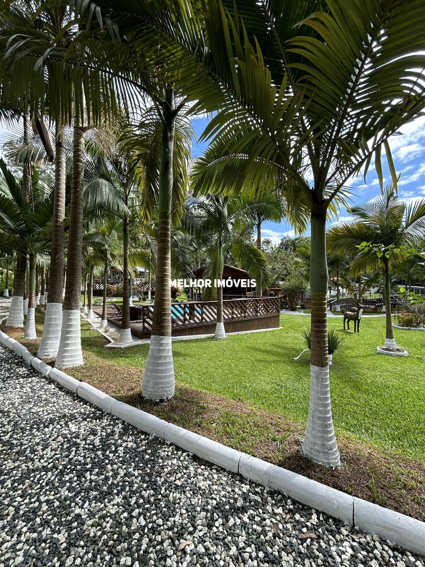 Chácara, 1 quarto, 6500 m² - Foto 3