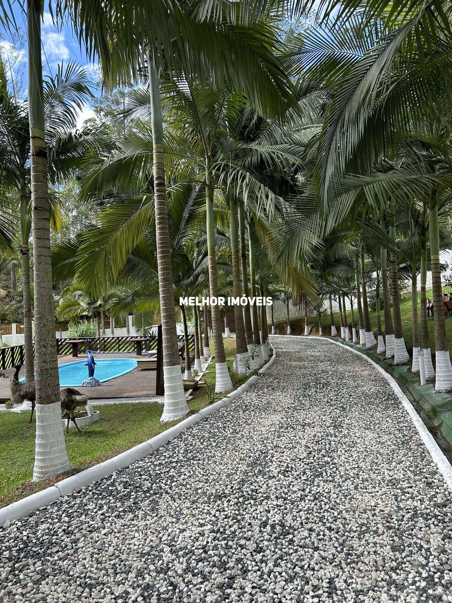 Chácara, 1 quarto, 6500 m² - Foto 2