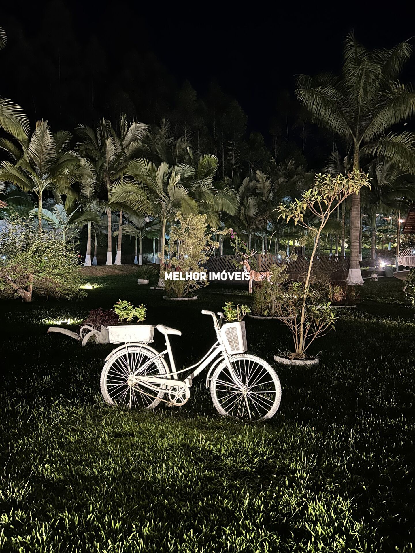 Chácara, 1 quarto, 6500 m² - Foto 49