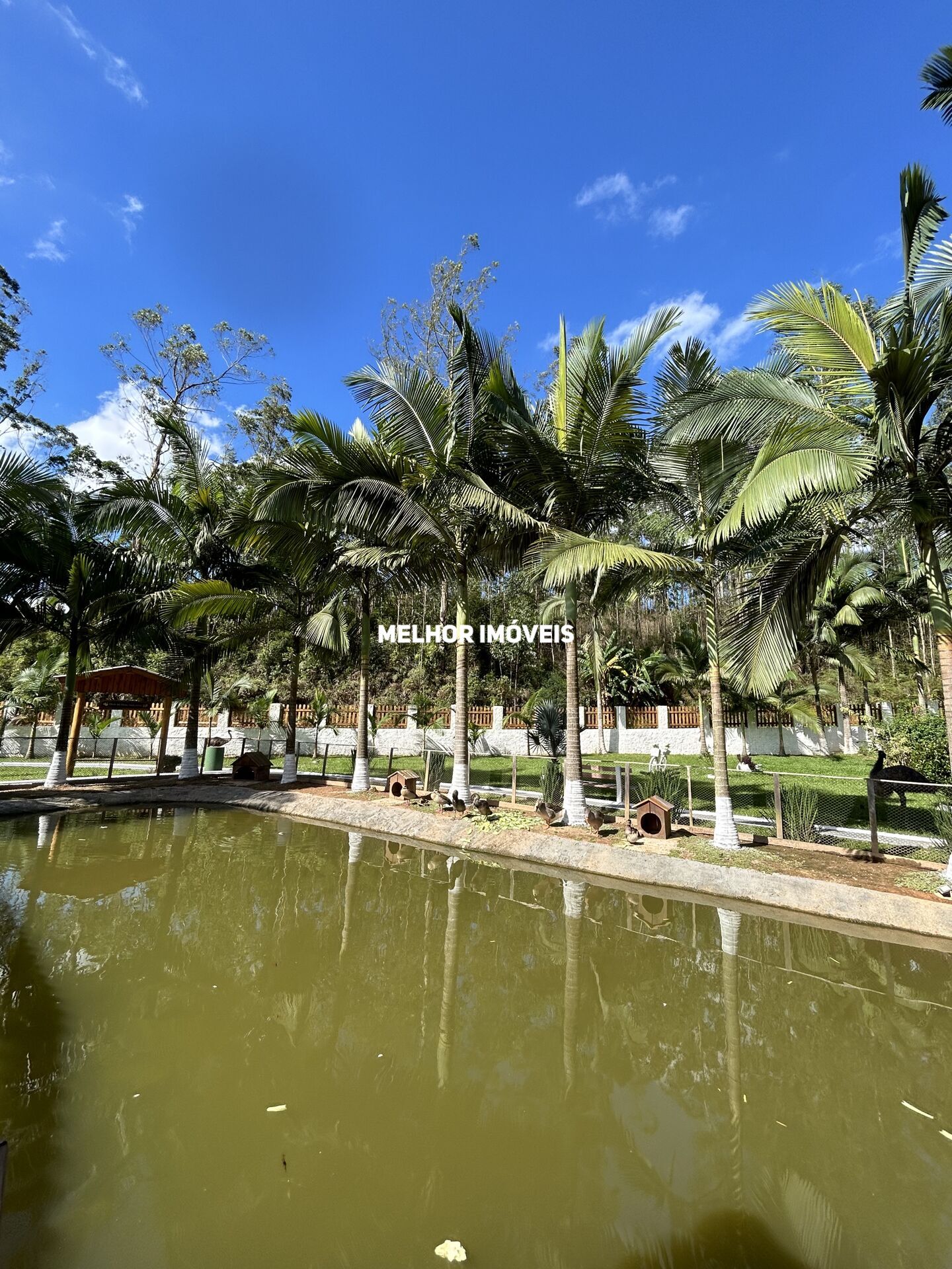 Chácara, 1 quarto, 6500 m² - Foto 7