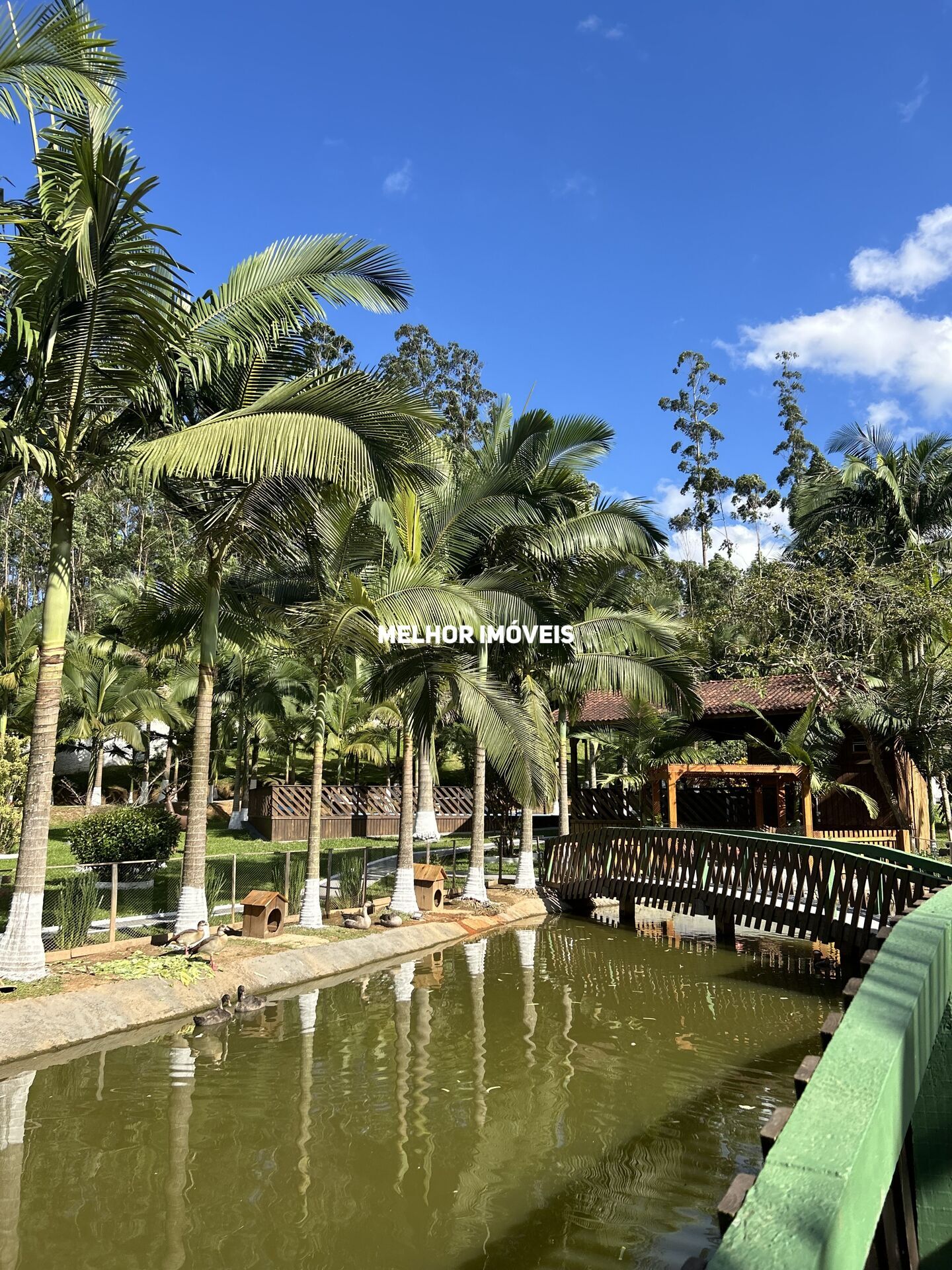 Chácara, 1 quarto, 6500 m² - Foto 5