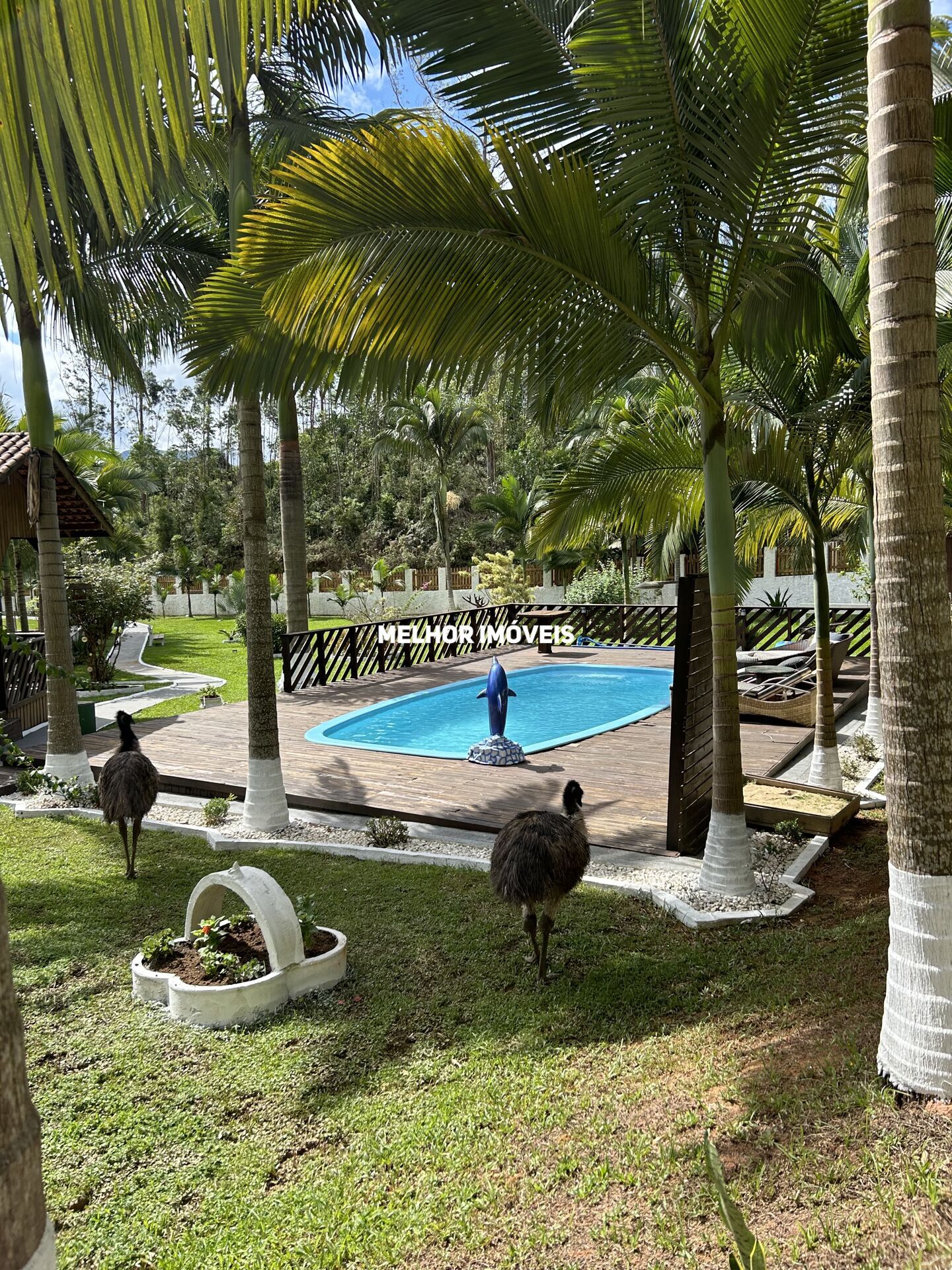 Chácara, 1 quarto, 6500 m² - Foto 9