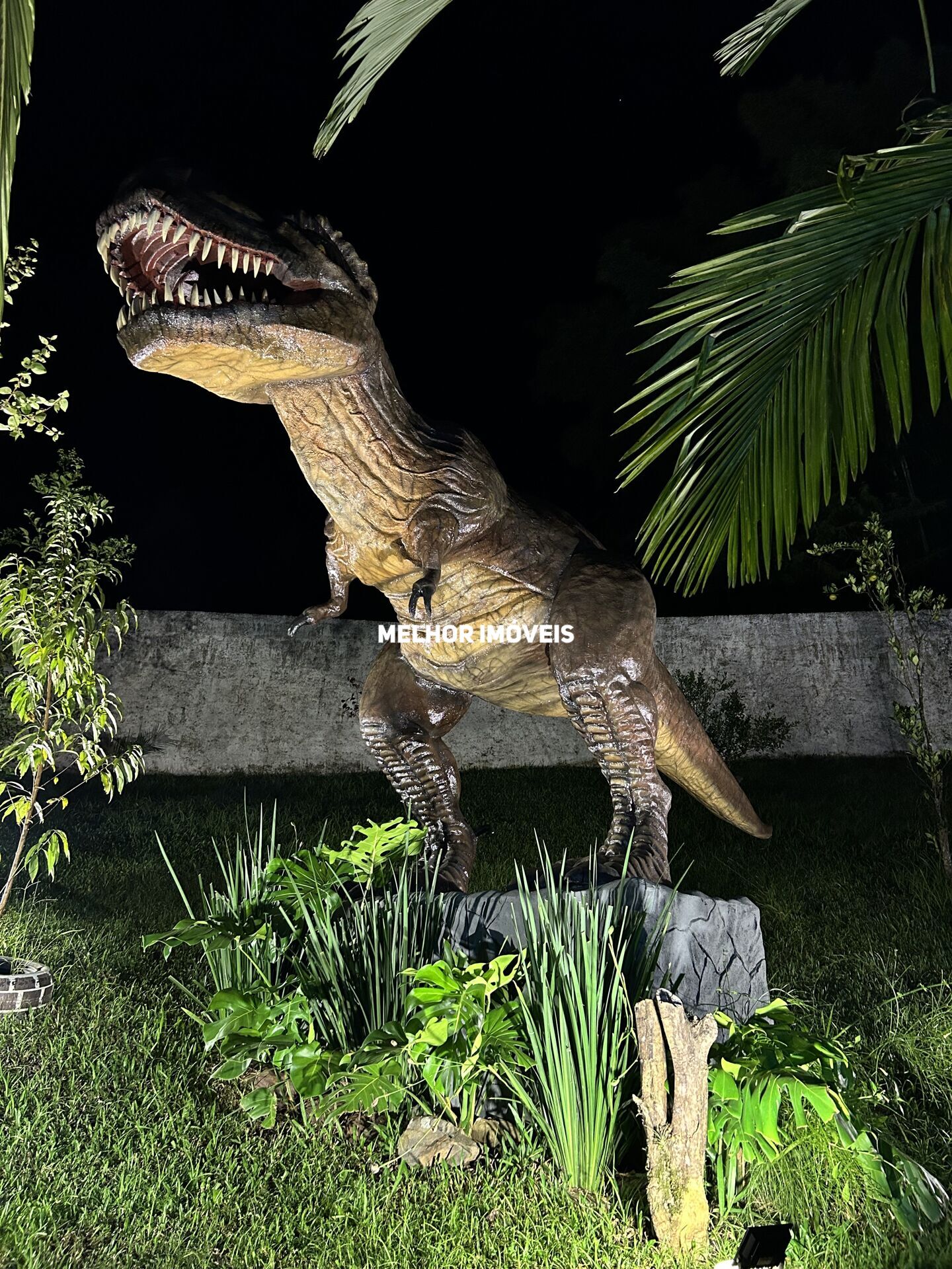 Chácara, 1 quarto, 6500 m² - Foto 46