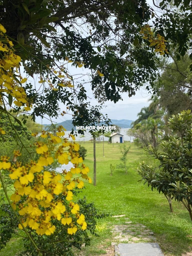 Fazenda à venda com 4 quartos, 3500m² - Foto 19