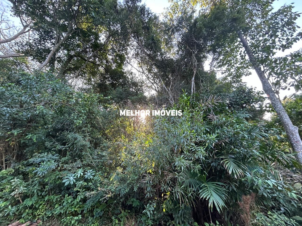 Terreno, 8 hectares - Foto 10