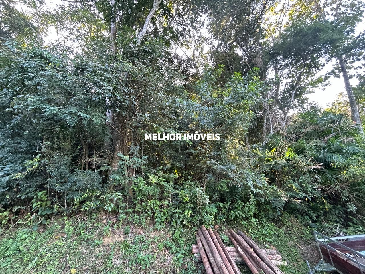 Terreno, 8 hectares - Foto 8