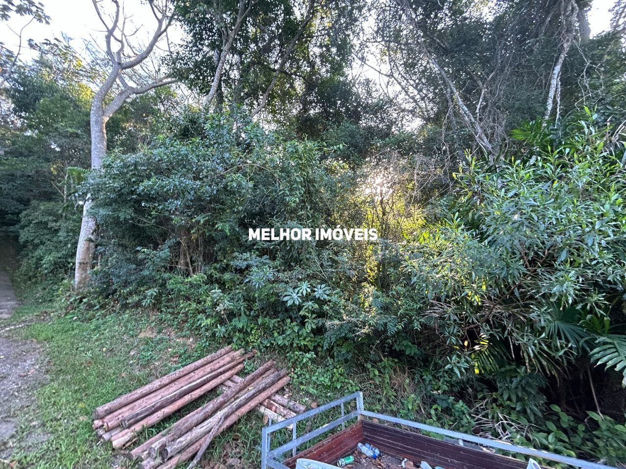 Terreno, 8 hectares - Foto 6