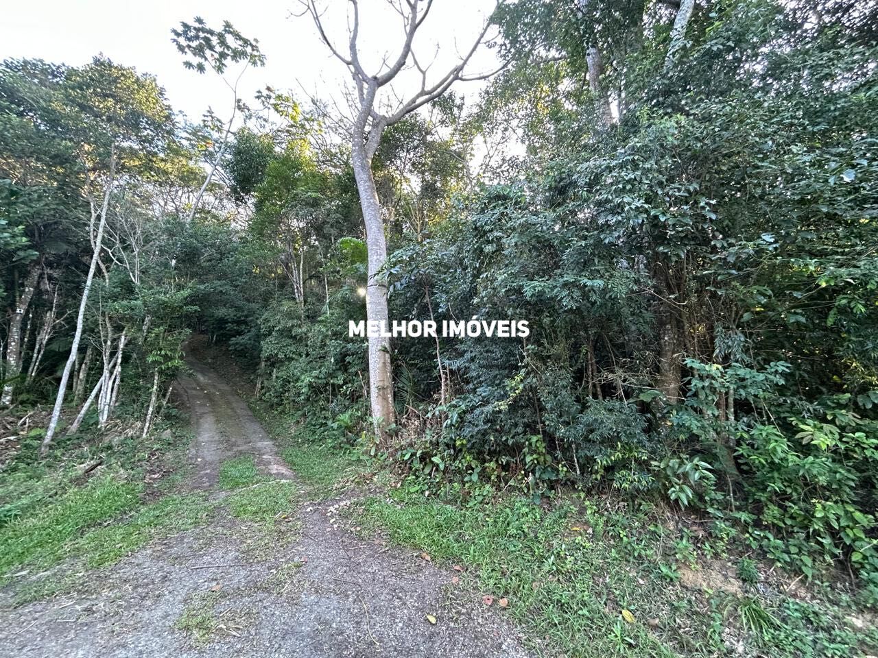 Terreno, 8 hectares - Foto 7