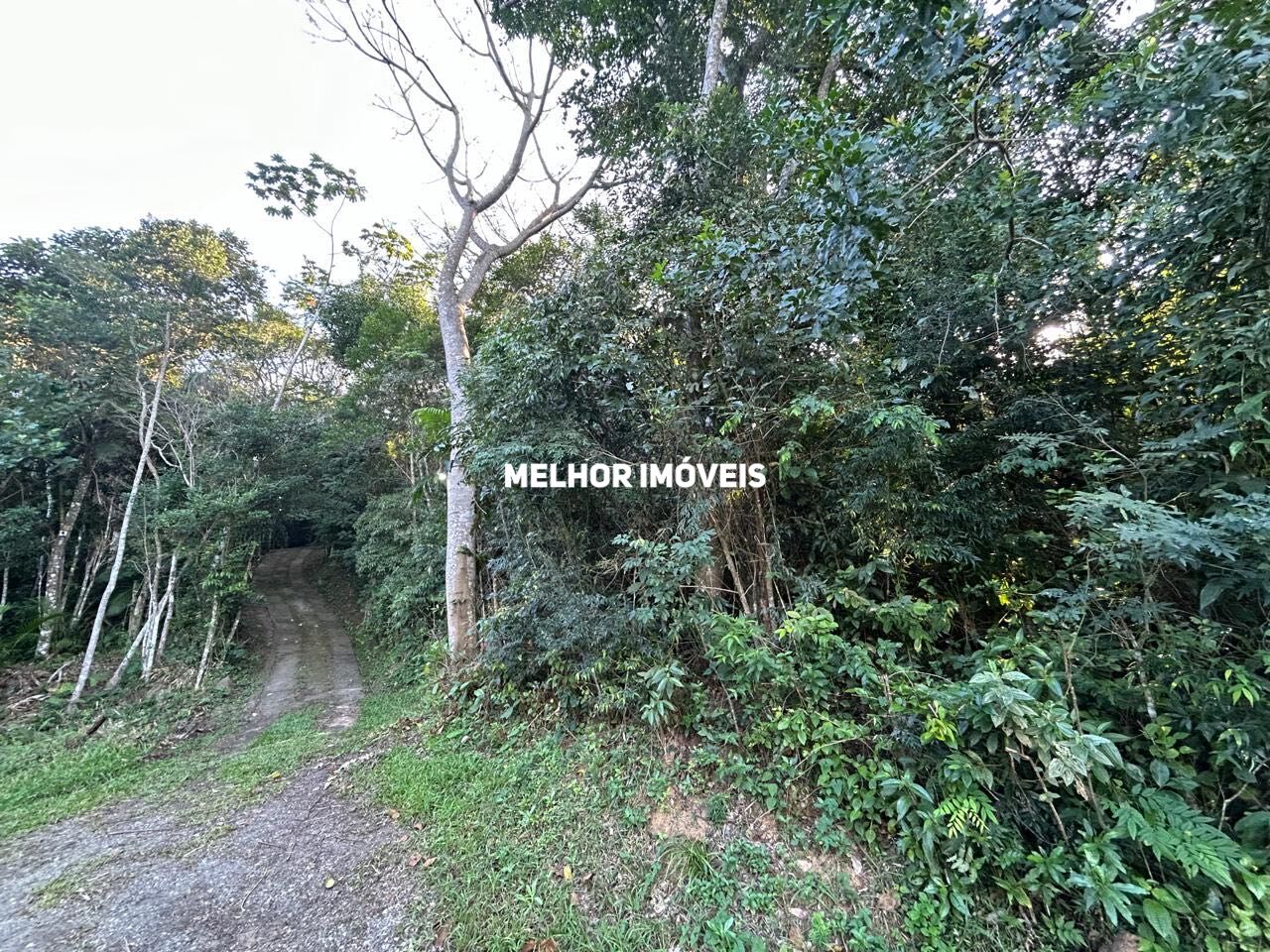 Terreno, 8 hectares - Foto 9