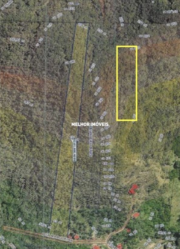 Terreno, 8 hectares - Foto 4