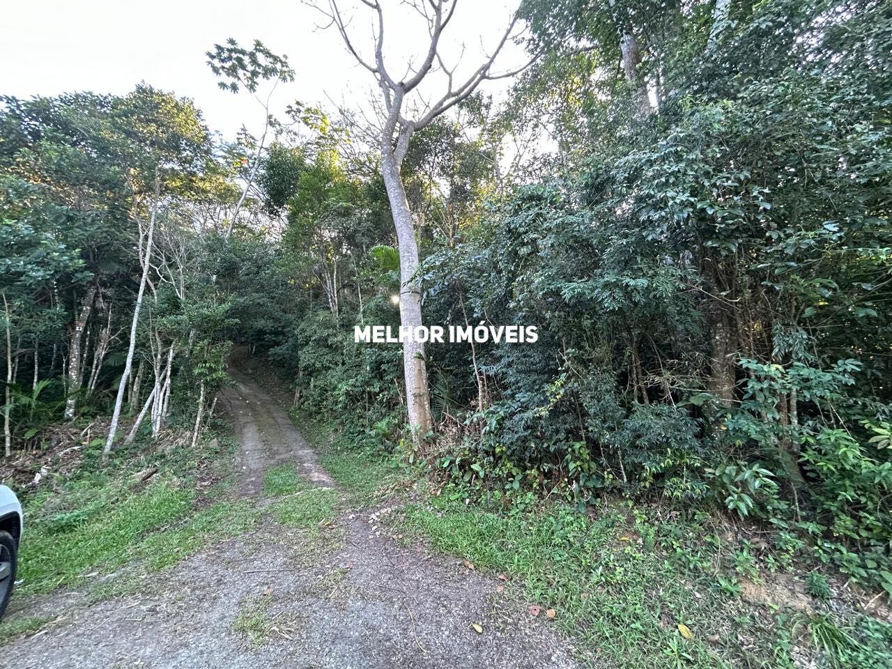 Terreno, 8 hectares - Foto 5