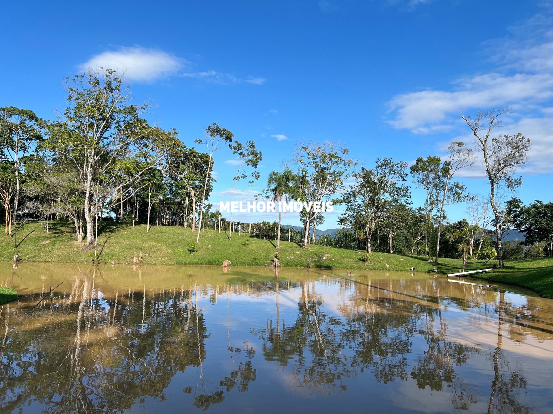 Fazenda à venda com 3 quartos, 26669m² - Foto 38