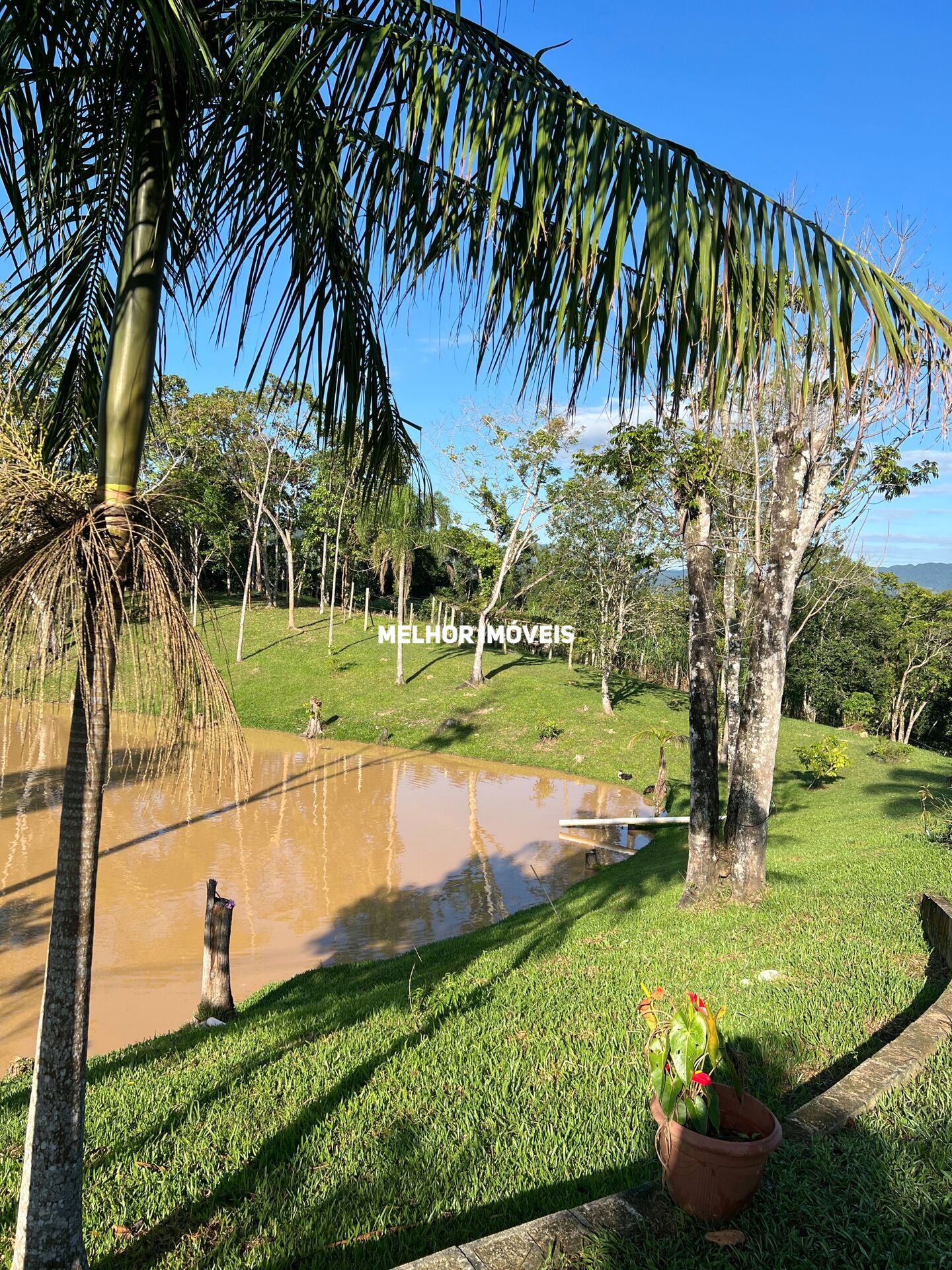 Fazenda à venda com 3 quartos, 26669m² - Foto 39