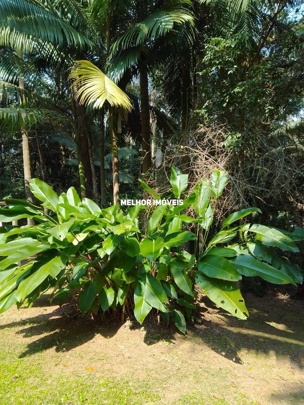 Casa, 1 quarto, 256 m² - Foto 33