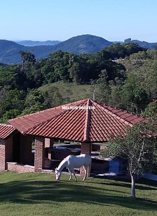 Chácara, 6 hectares - Foto 30