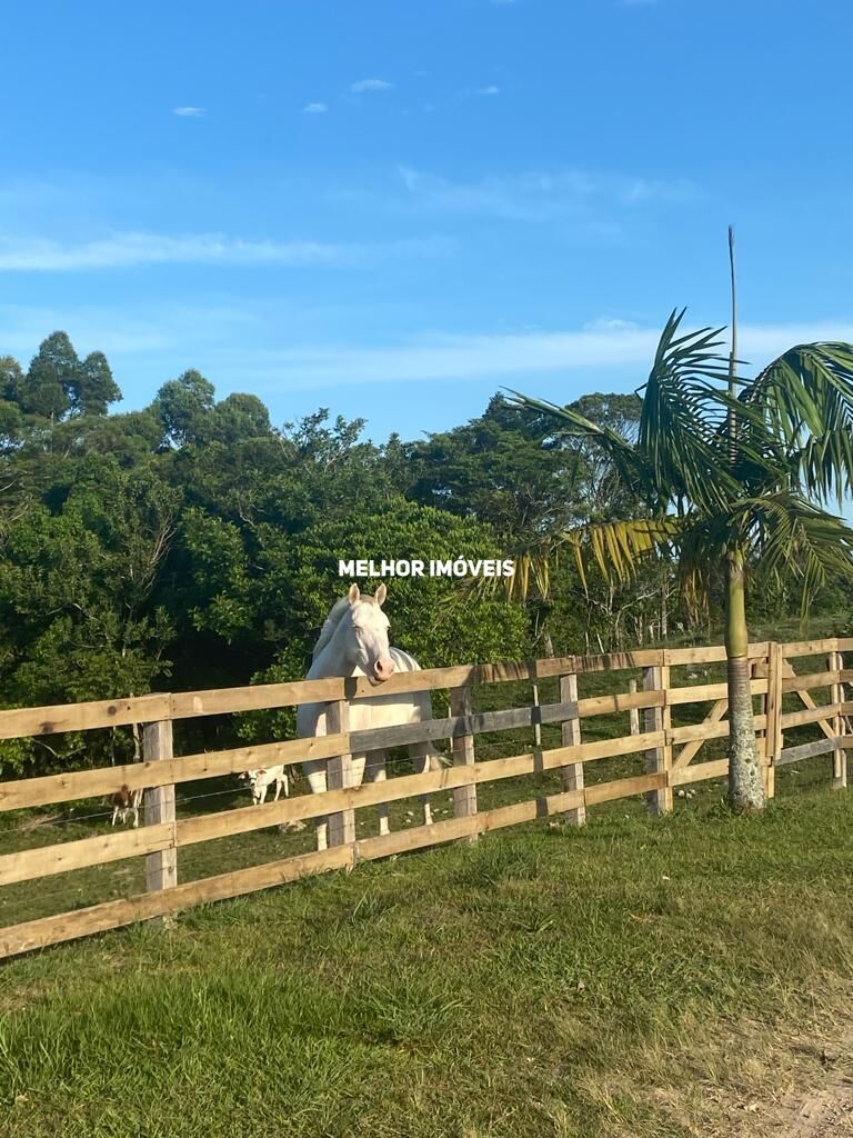 Chácara, 6 hectares - Foto 34