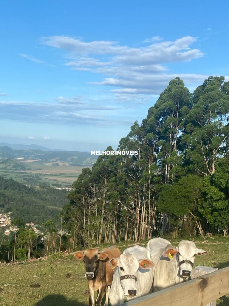 Chácara, 6 hectares - Foto 35