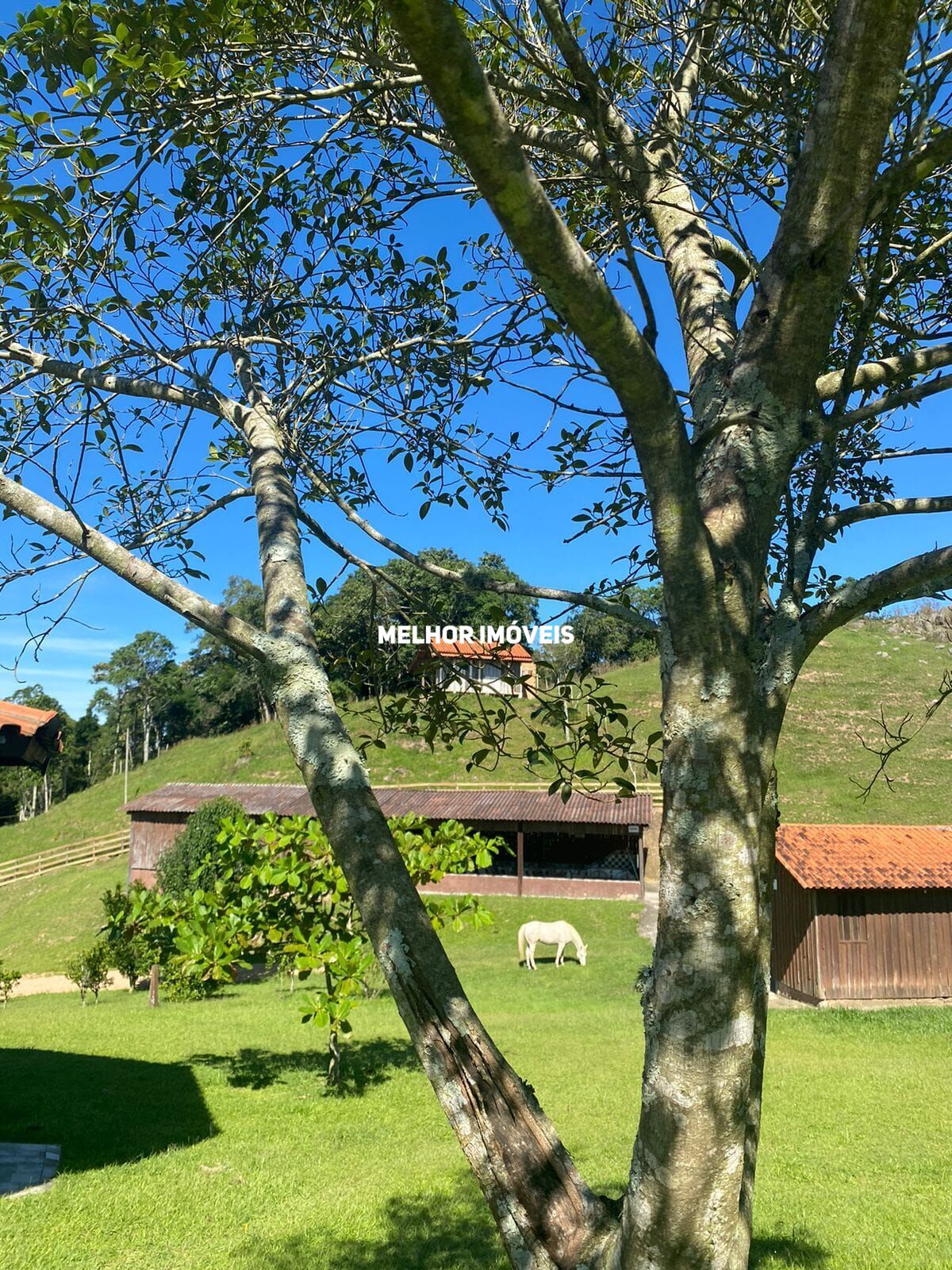 Chácara, 6 hectares - Foto 38