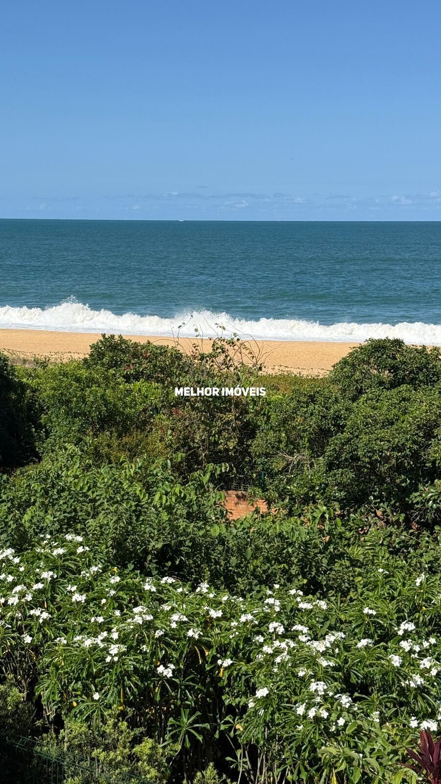 Casa, 3 quartos, 315 m² - Foto 38