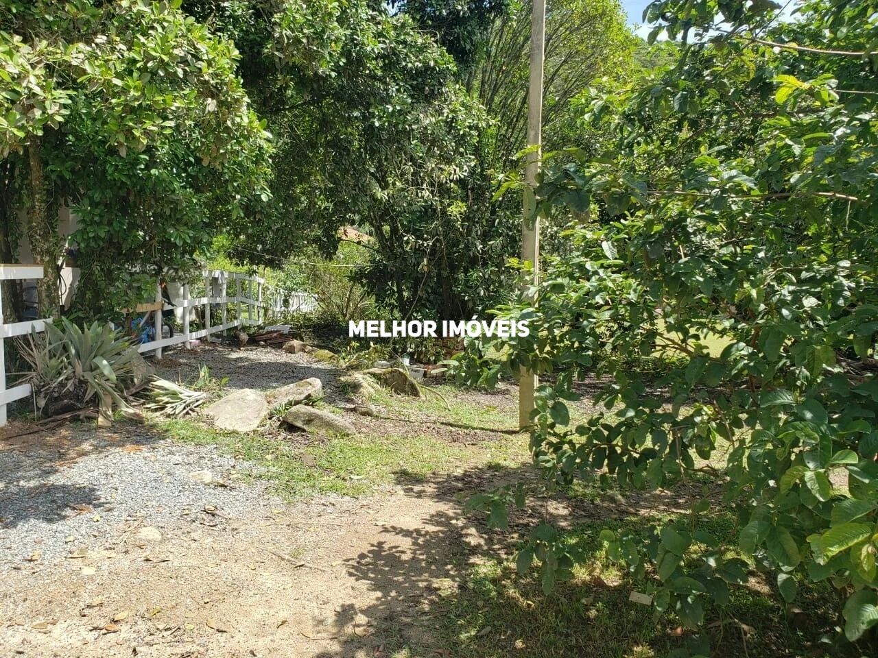 Sítio, 1 quarto, 2 hectares - Foto 3