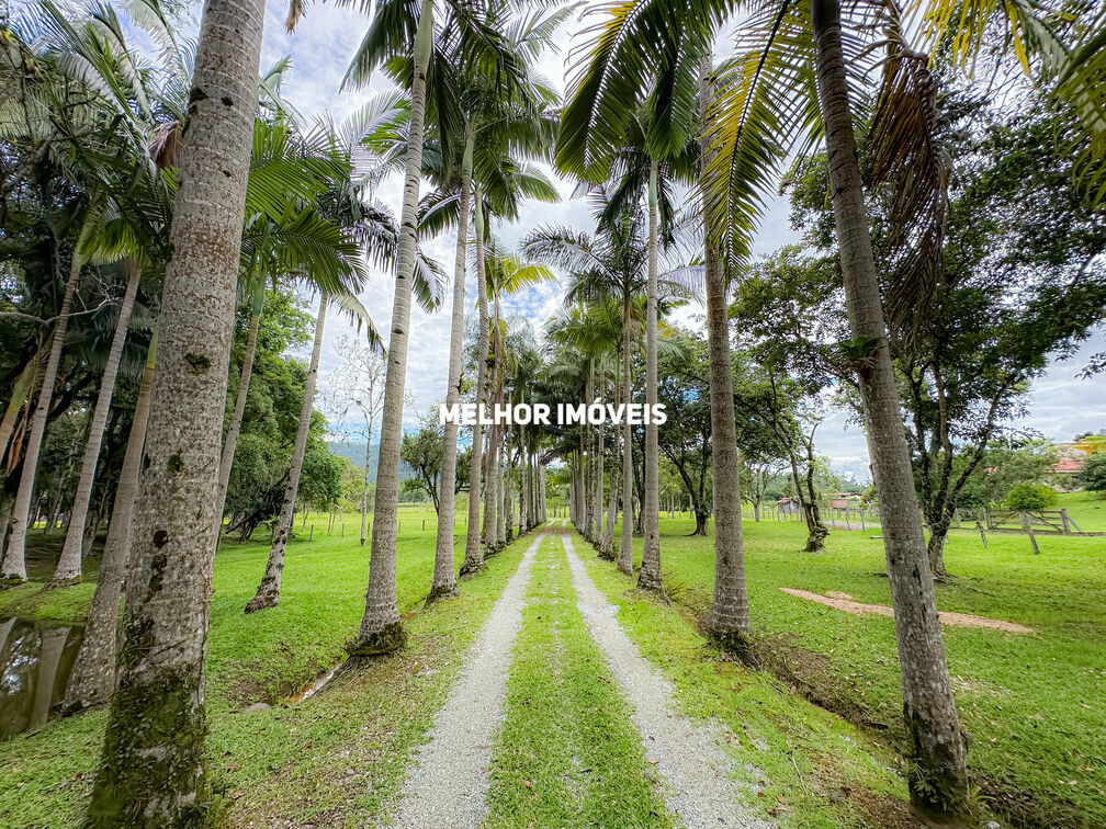 Chácara, 3 quartos, 2 hectares - Foto 1