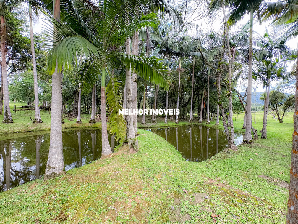 Chácara, 3 quartos, 2 hectares - Foto 3