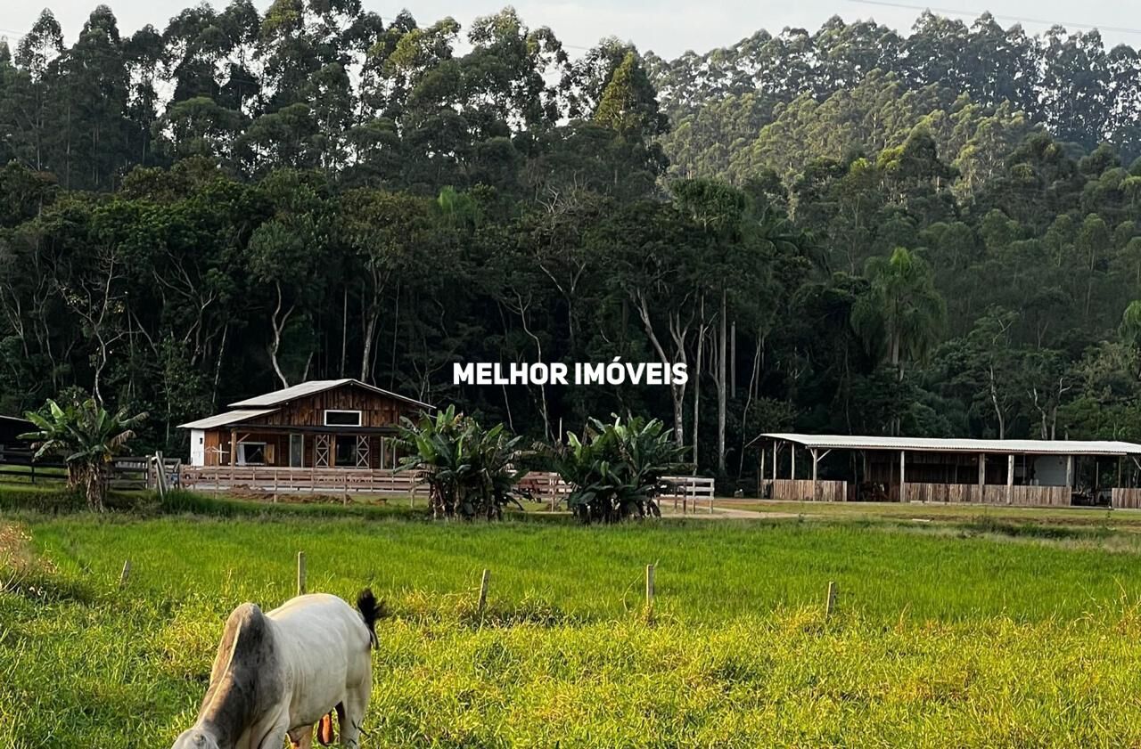 Chácara, 2 quartos, 5200 m² - Foto 3