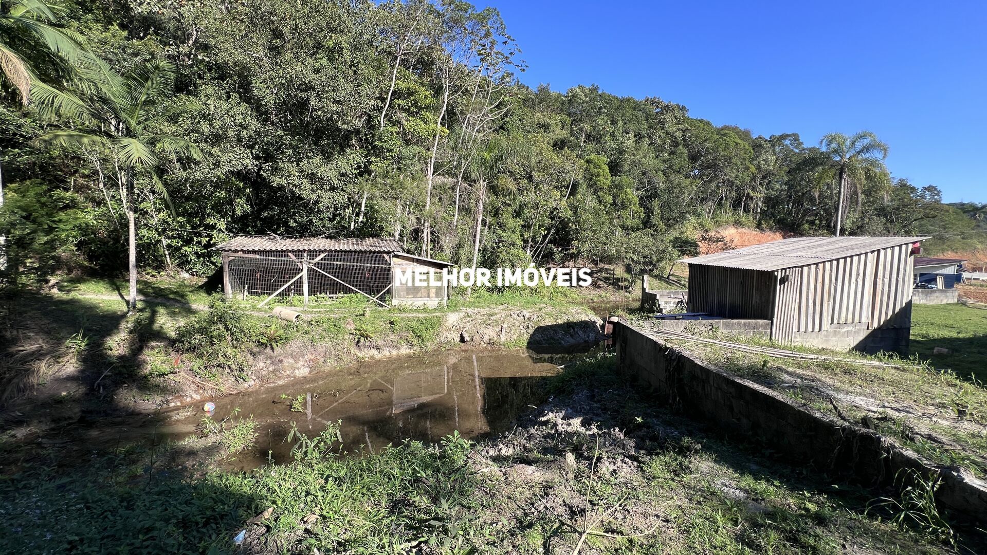 Fazenda à venda com 8 quartos, 14000m² - Foto 41