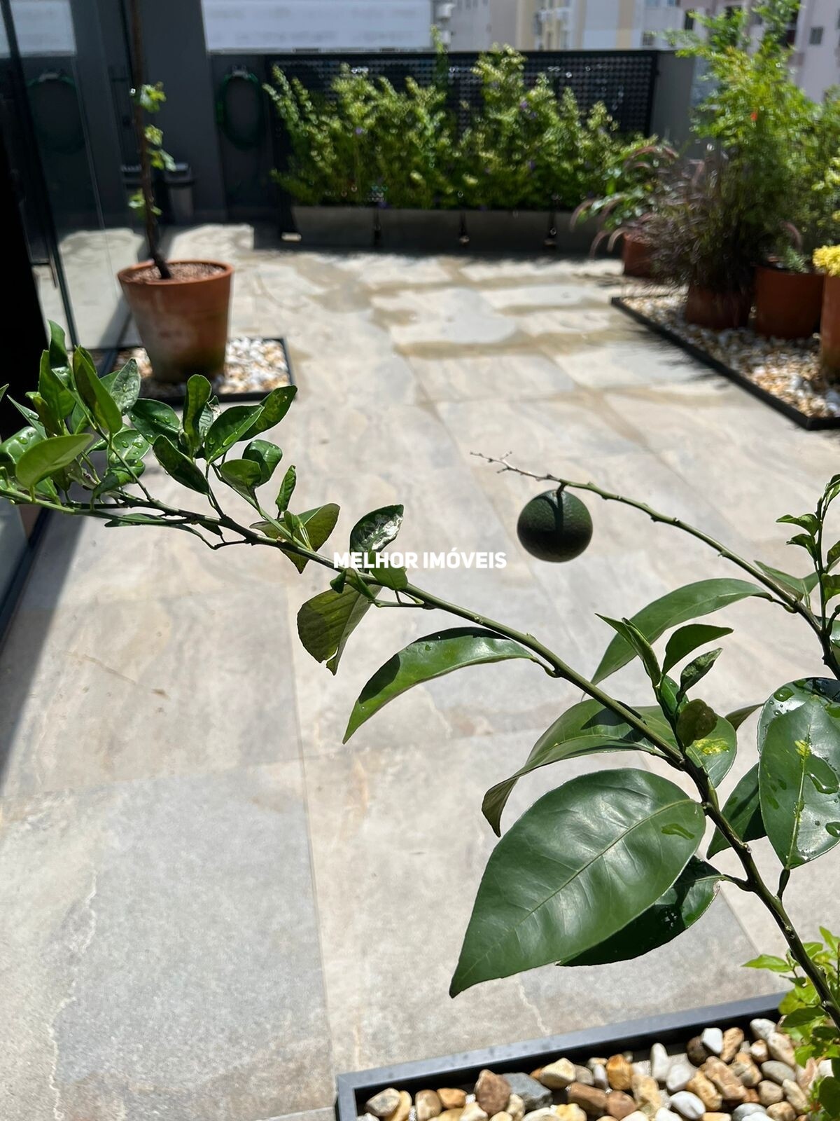 Casa, 3 quartos, 470 m² - Foto 15