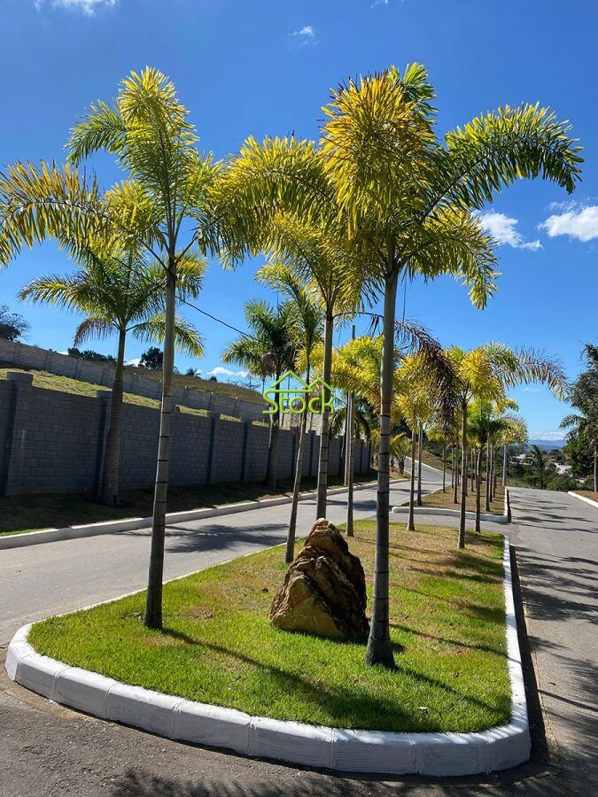 Terreno à venda, 1000m² - Foto 4