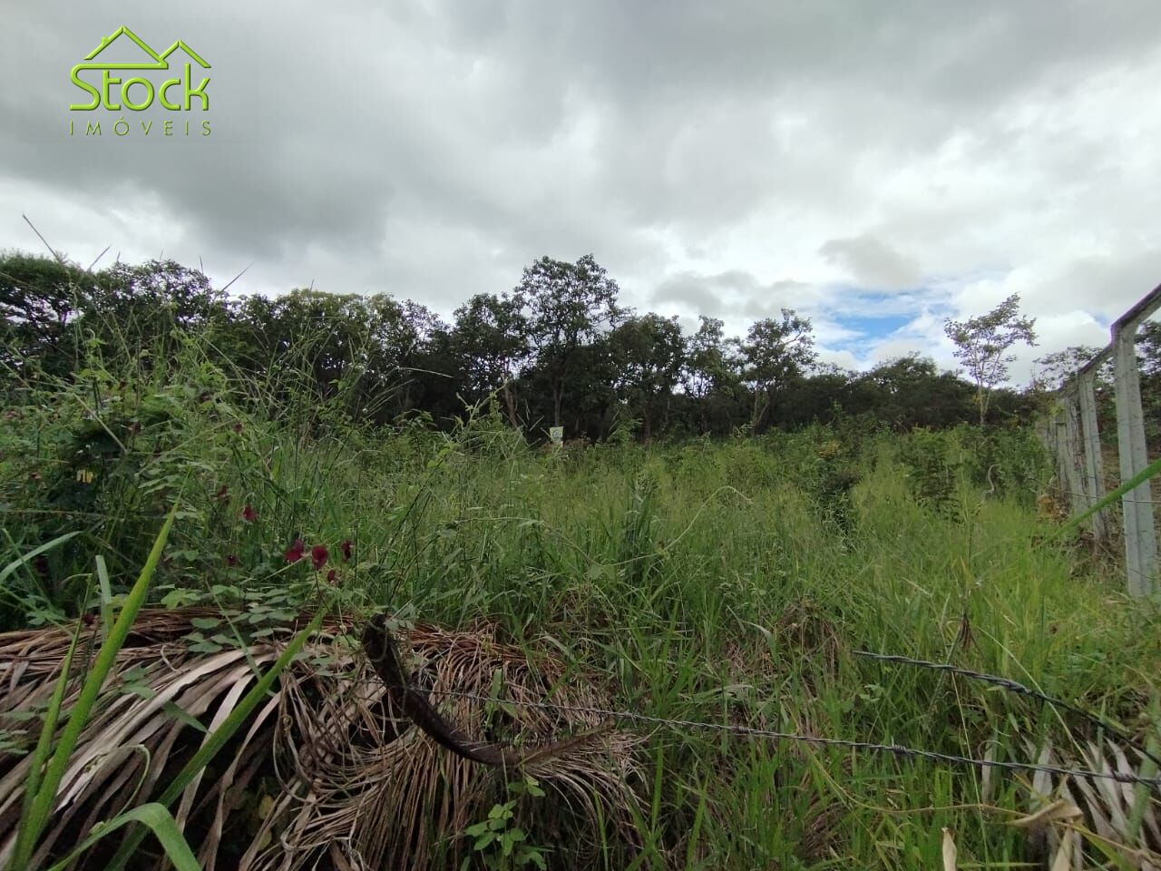 Terreno à venda, 1000m² - Foto 1