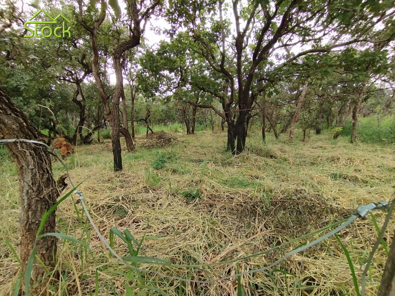 Terreno à venda, 1000m² - Foto 9