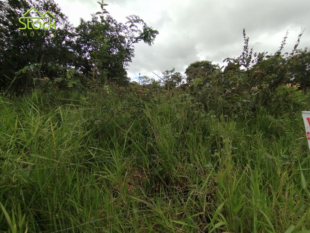 Terreno à venda, 1000m² - Foto 4