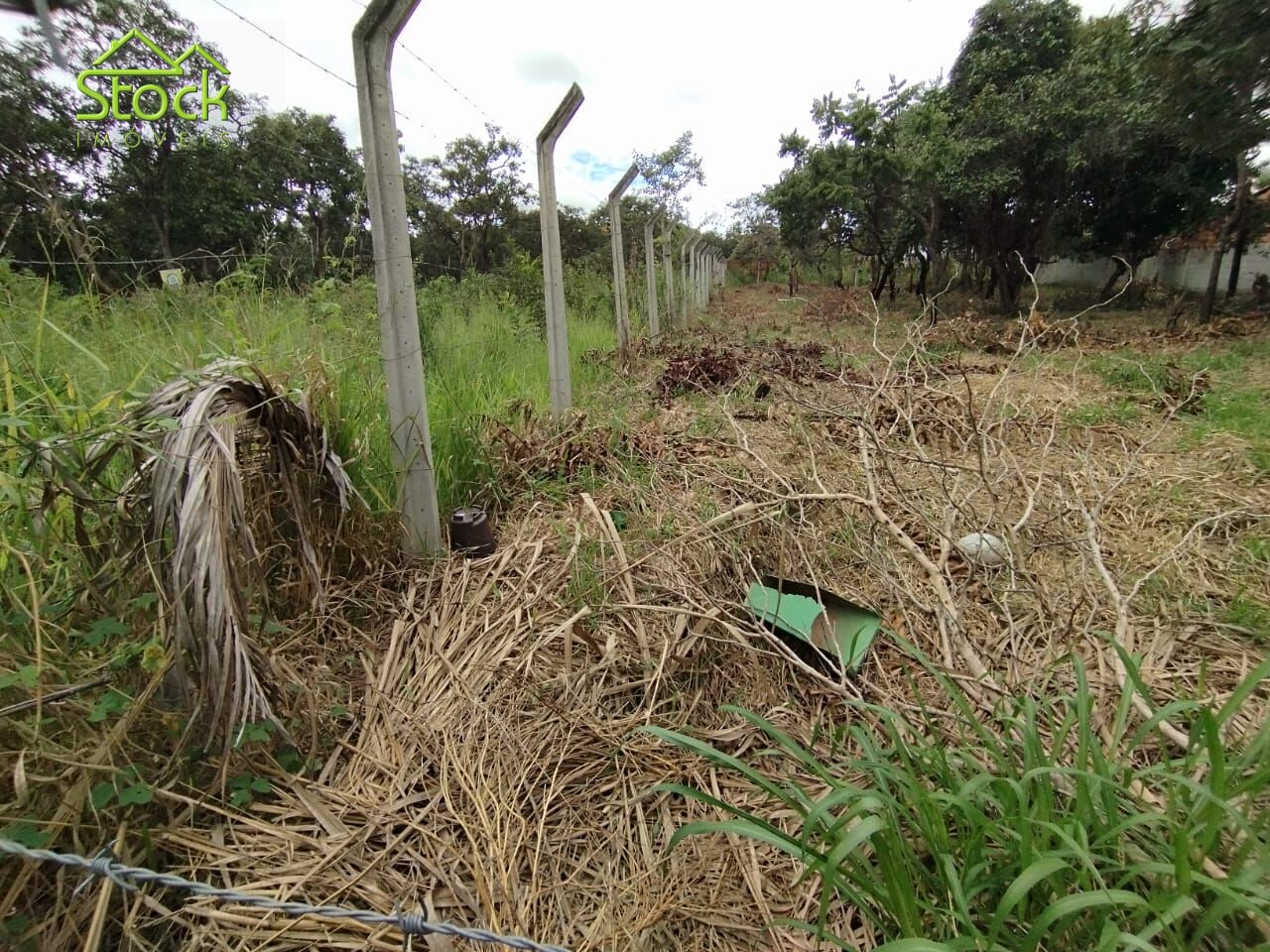 Terreno à venda, 1000m² - Foto 6