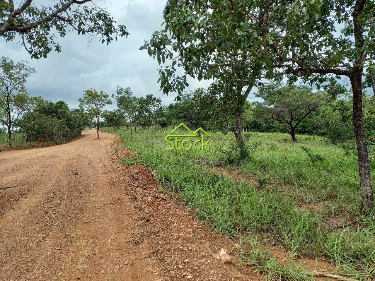 Fazenda à venda com 1 quarto, 20000m² - Foto 18