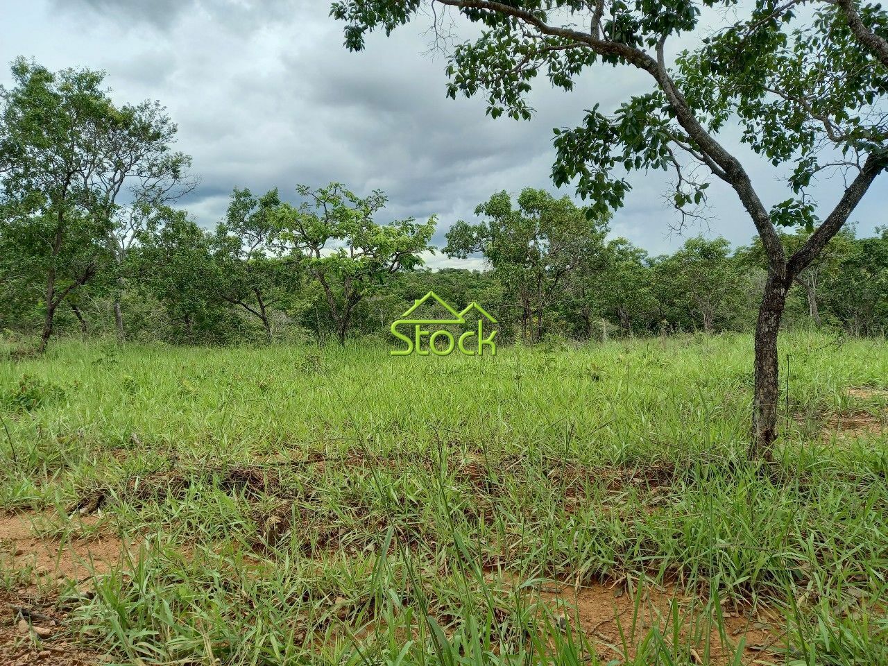 Fazenda à venda com 1 quarto, 20000m² - Foto 15