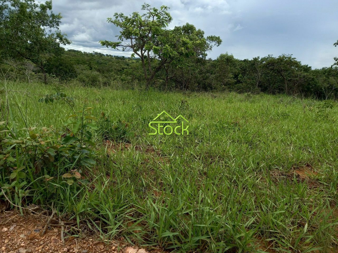 Fazenda à venda com 1 quarto, 20000m² - Foto 21