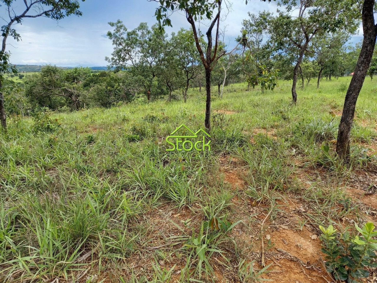 Fazenda à venda com 1 quarto, 20000m² - Foto 10