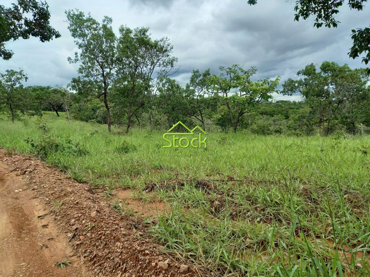 Fazenda à venda com 1 quarto, 20000m² - Foto 20