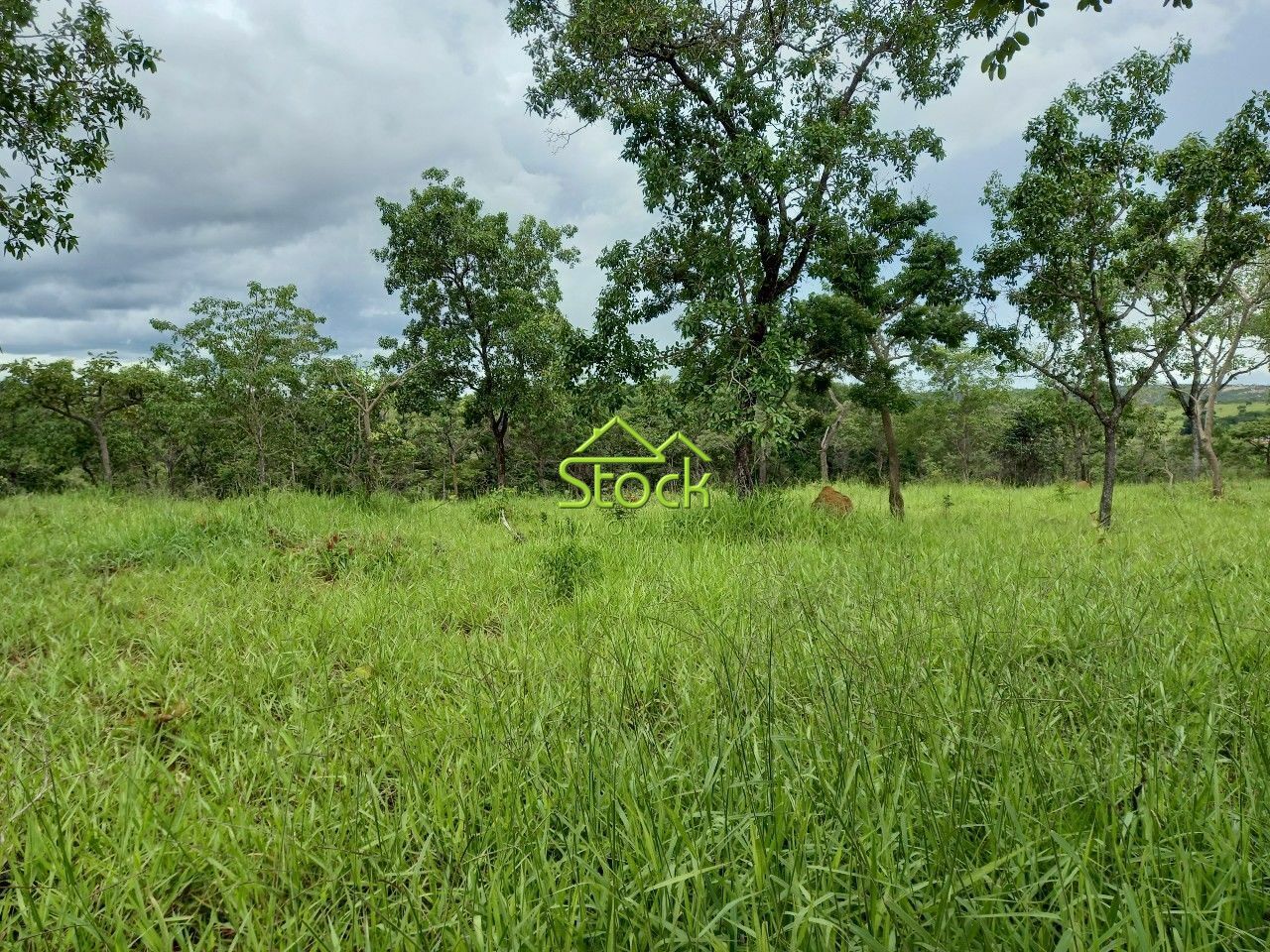 Fazenda à venda com 1 quarto, 20000m² - Foto 25