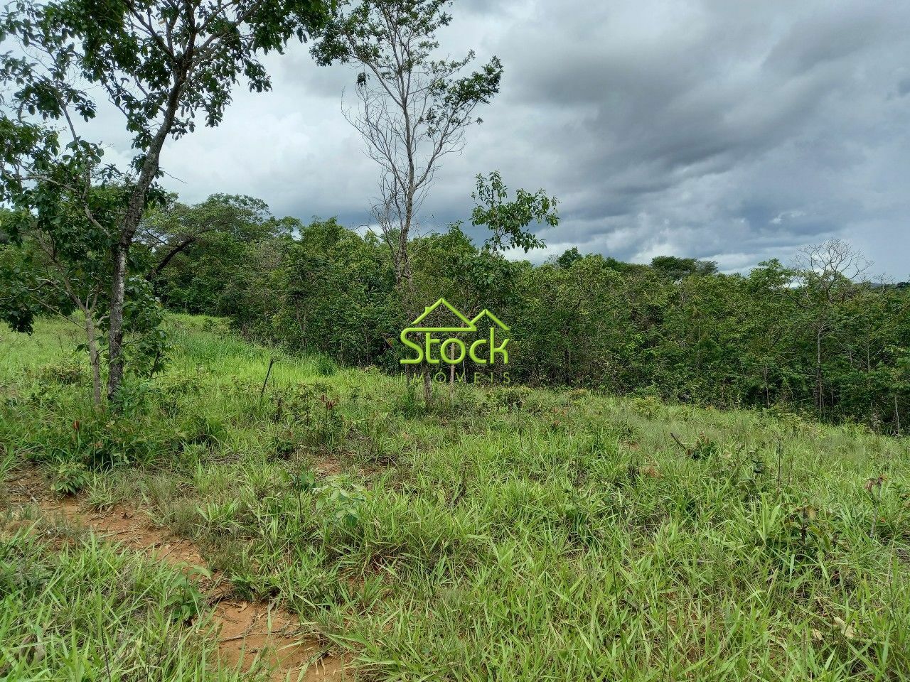 Fazenda à venda com 1 quarto, 20000m² - Foto 7