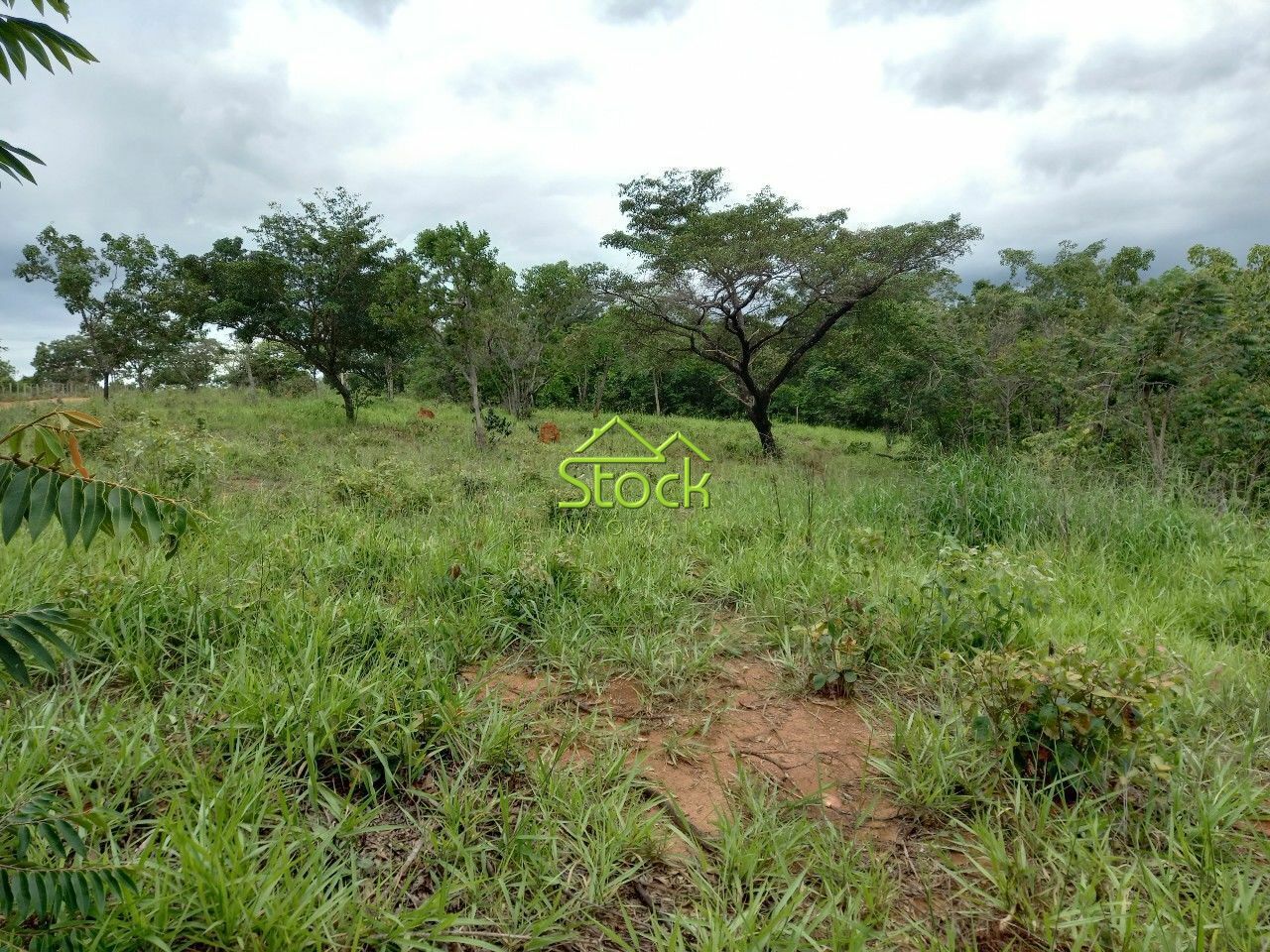 Fazenda à venda com 1 quarto, 20000m² - Foto 11