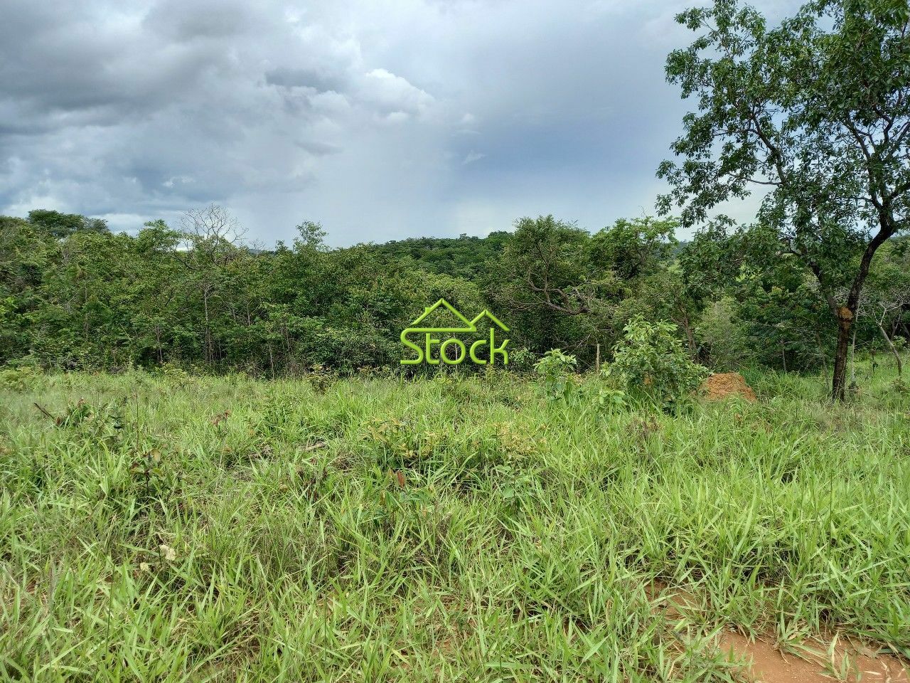 Fazenda à venda com 1 quarto, 20000m² - Foto 24