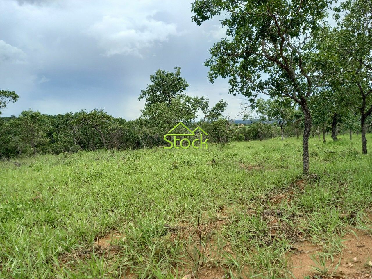 Fazenda à venda com 1 quarto, 20000m² - Foto 9