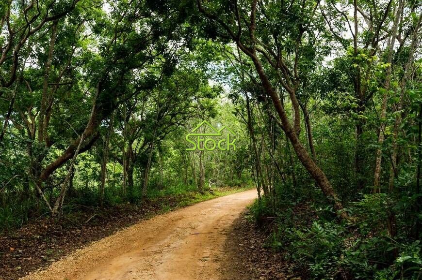 Chácara à venda com 1 quarto, 20000m² - Foto 1