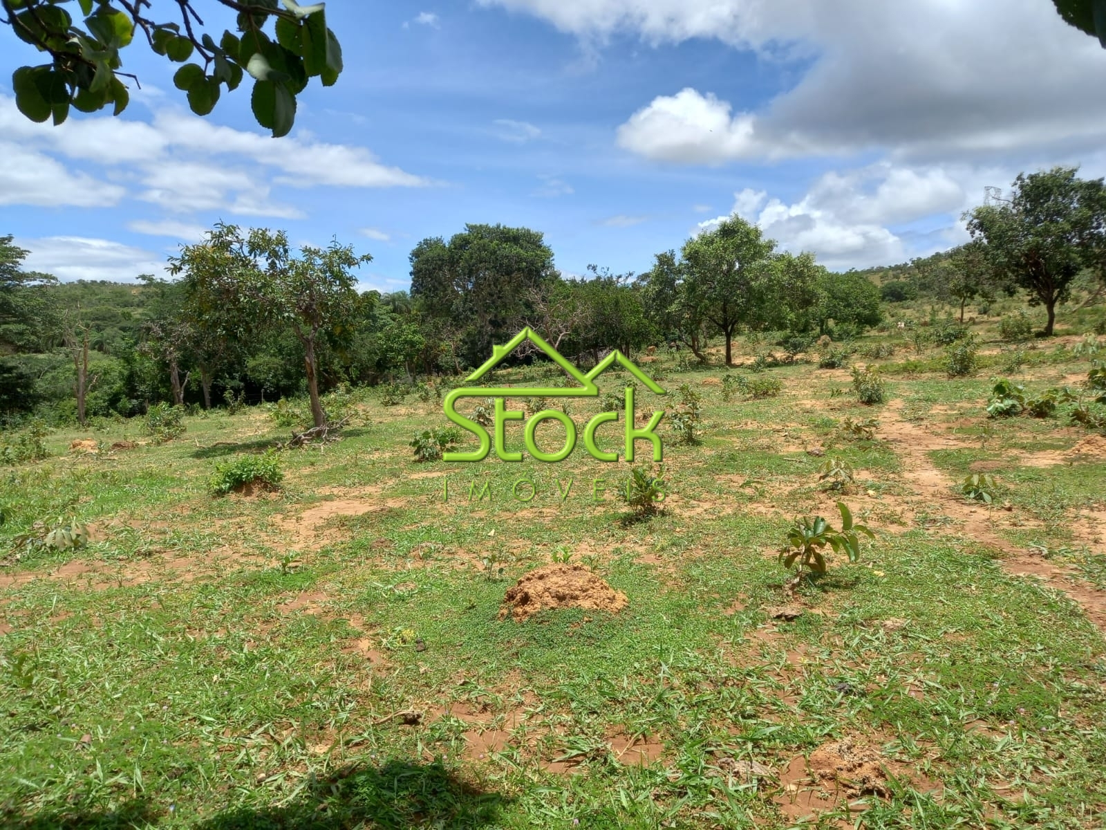 Fazenda à venda com 2 quartos, 880000m² - Foto 4
