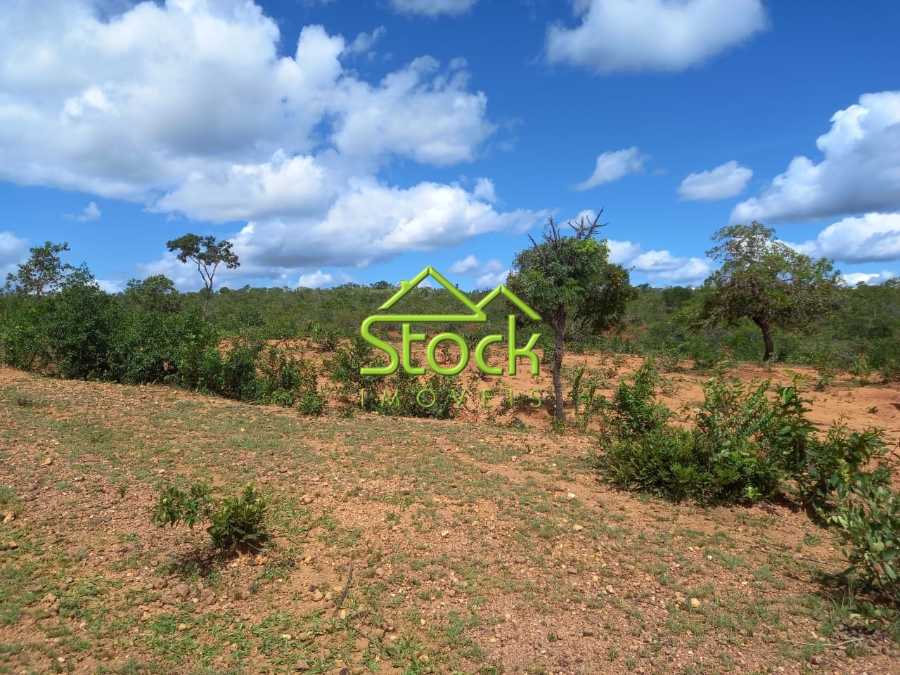 Fazenda à venda com 2 quartos, 880000m² - Foto 12