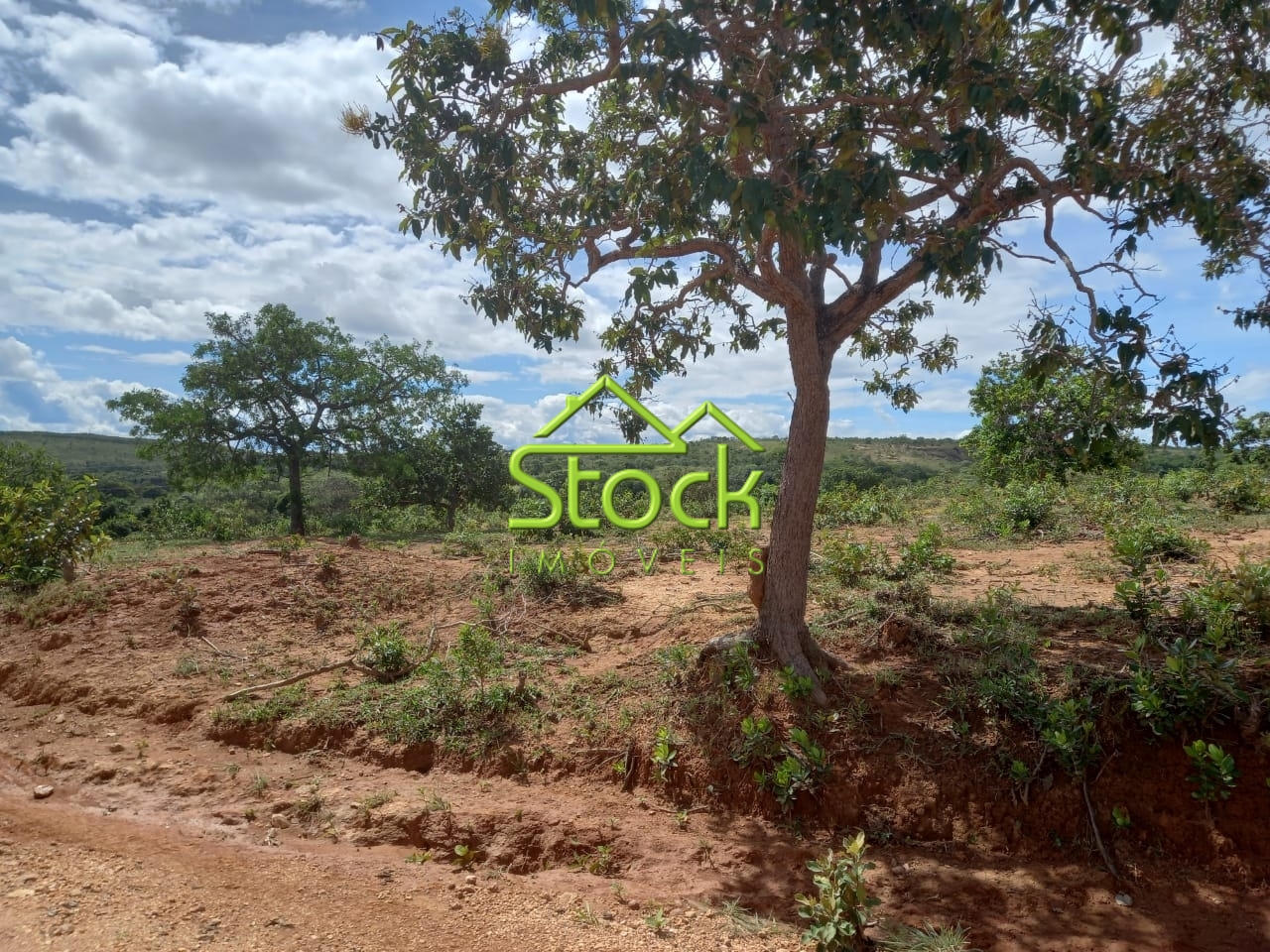 Fazenda à venda com 2 quartos, 880000m² - Foto 17
