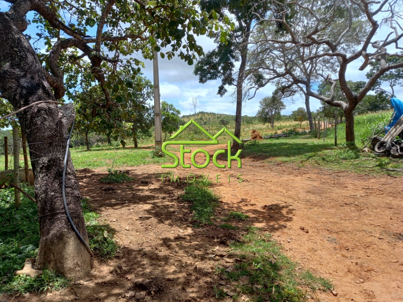 Fazenda à venda com 2 quartos, 880000m² - Foto 9